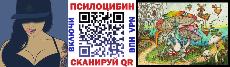 Купить где  Камышлов  Псилоцибиновые грибы ЛСД 